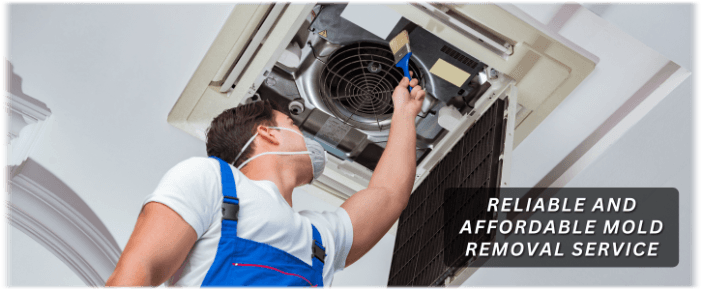HVAC Mold Removal Saginaw TX